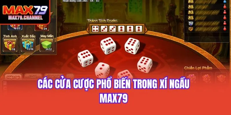 Các cửa cược phổ biến trong xí ngầu Max79